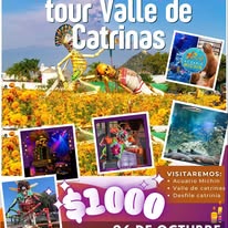 Logo Viajes Morelos